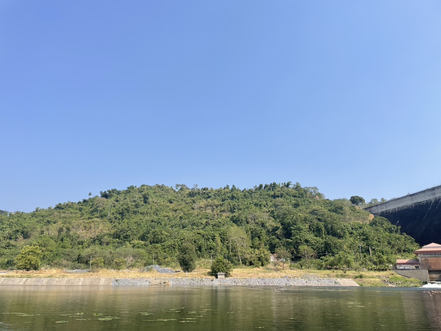 วังตะไคร้